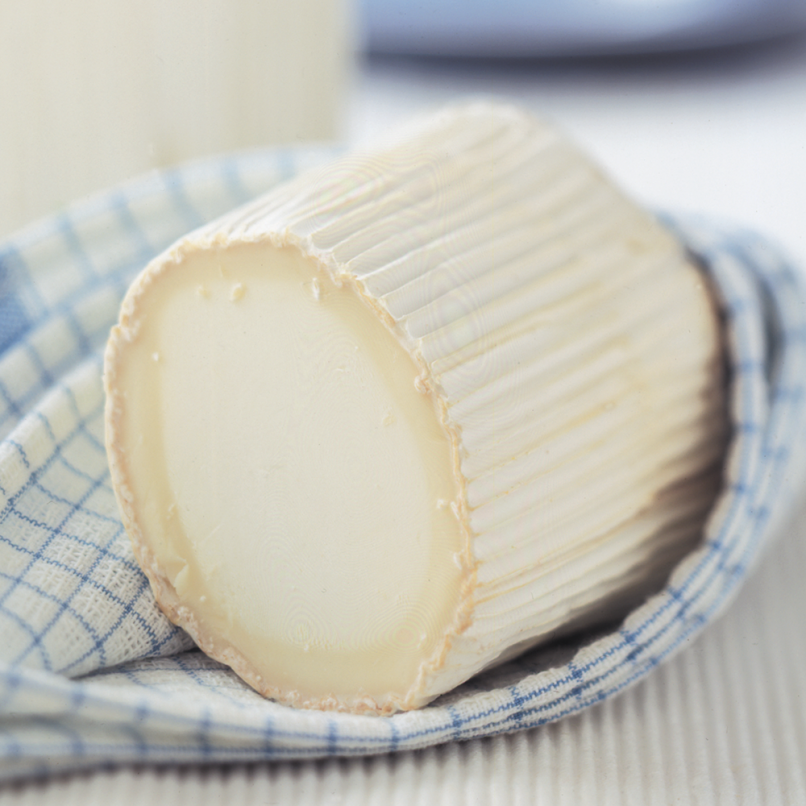 Große Ziegenkäserolle Ziegenkäse aus Frankreich